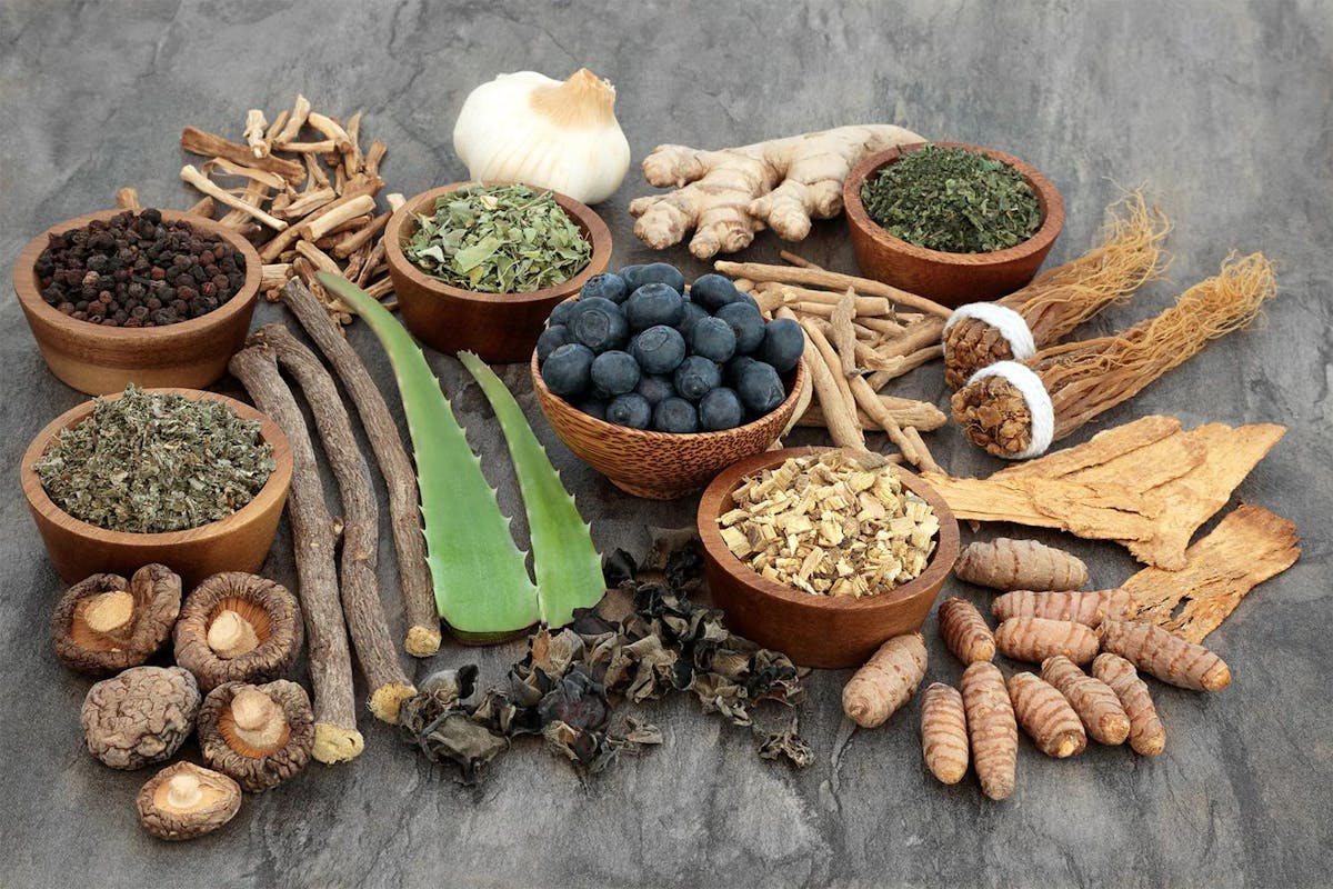 Ultimate Guide to Adaptogenic Herbs: Harnessing the Power of Adaptogens for Stress Relief and Natural Energy